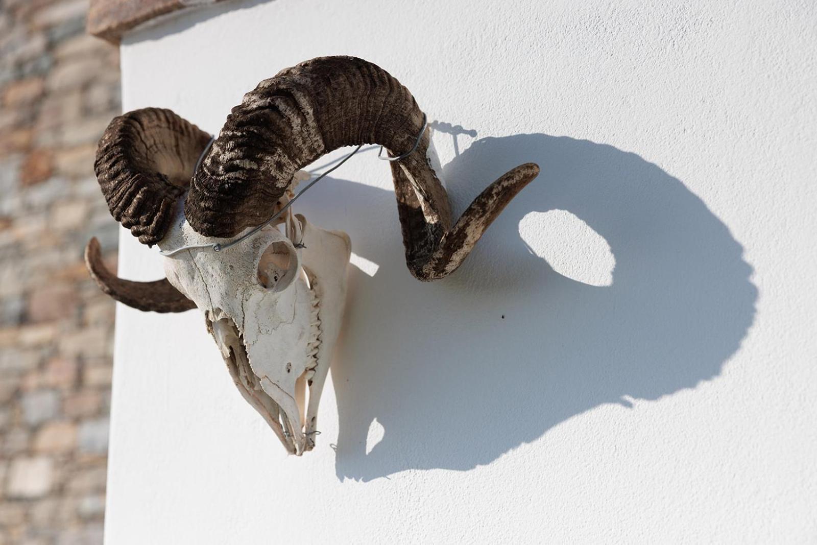 Villa Papa Glinado Naxos Eksteriør billede