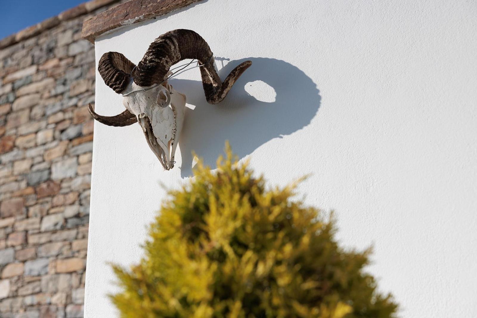 Villa Papa Glinado Naxos Eksteriør billede
